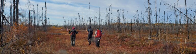 3 people carry frost probes across a peatland