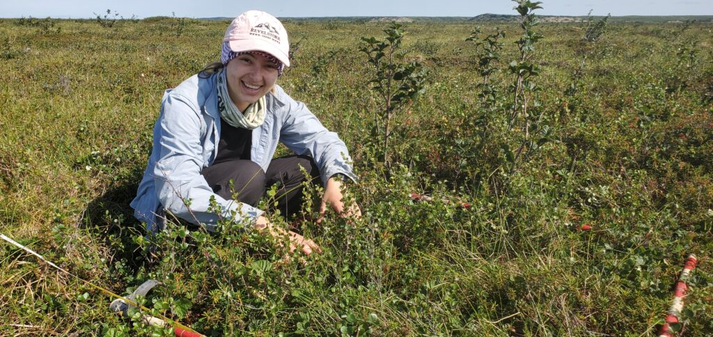 Katerina touches plants in a quadrat in the tundra
