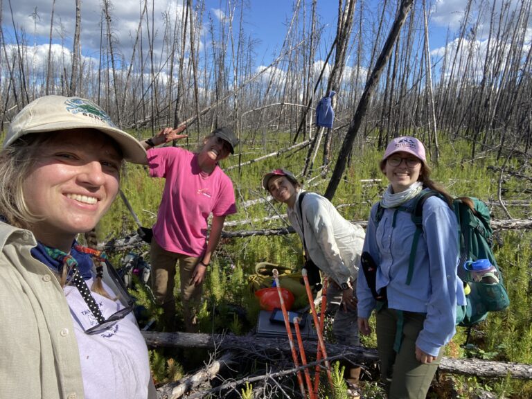 Field researchers in an area burned by 2014 wildfires