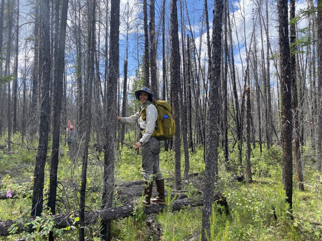 Researcher in 2014 burned area