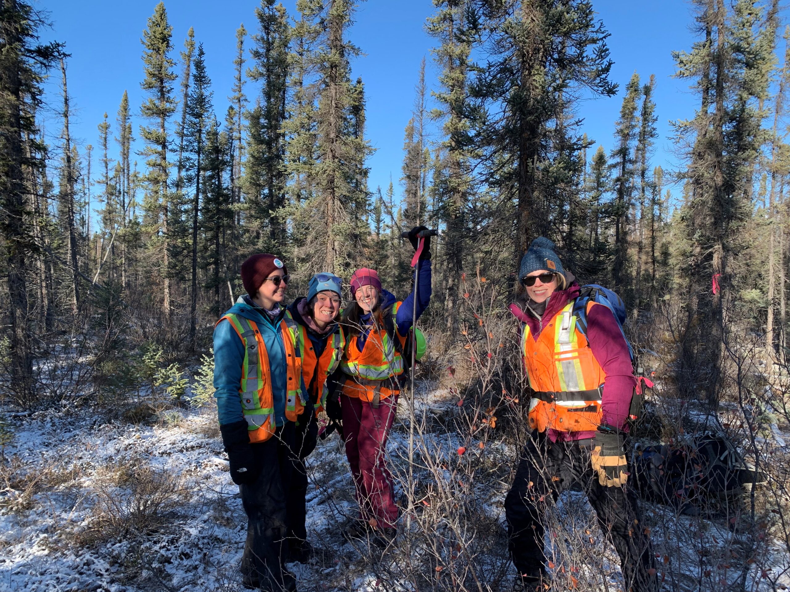 four researchers stand in a snowy forest