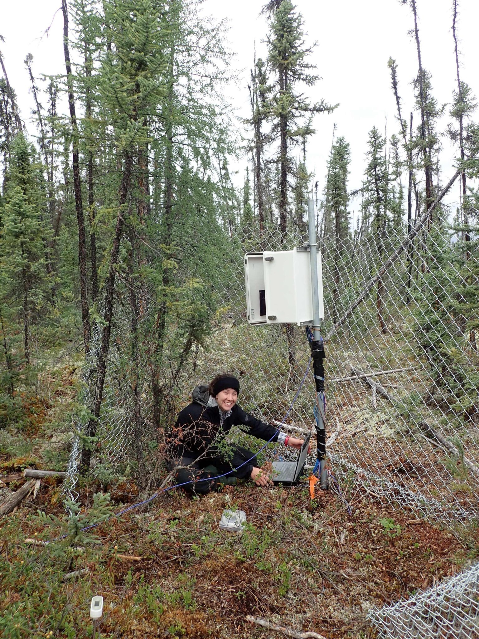 Nia downloads data from a datalogger in the field